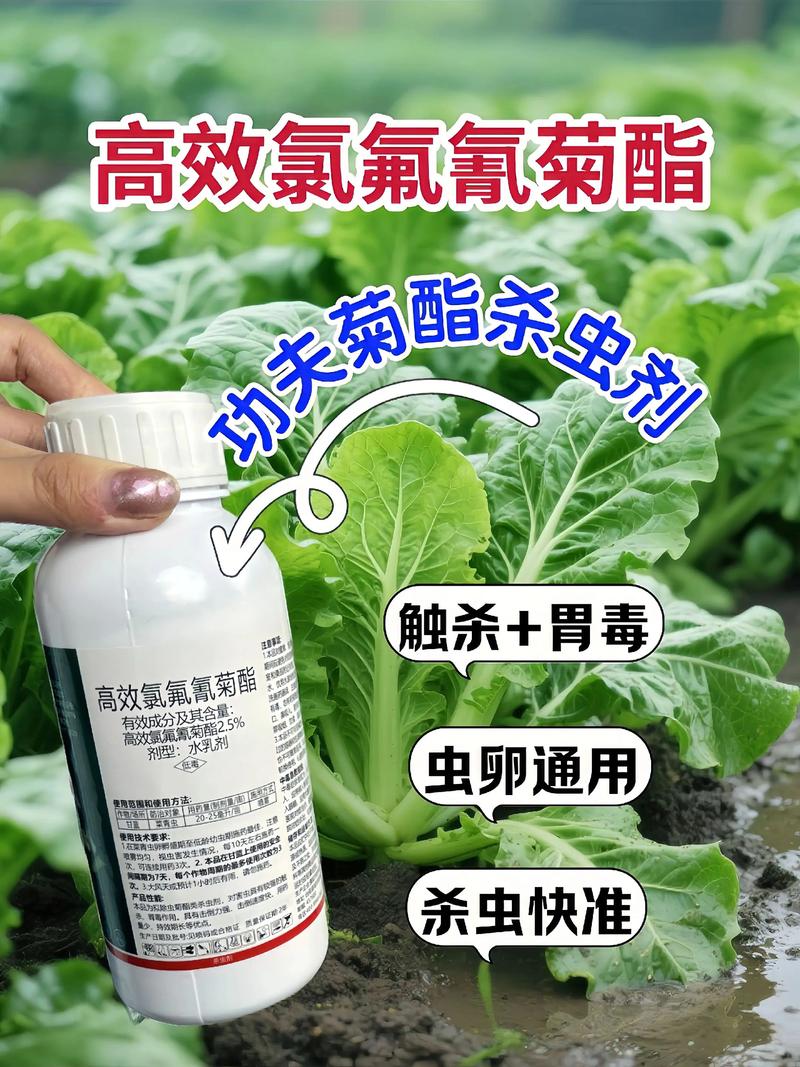 新疆代生中心:农药对供卵代生妈妈的危害